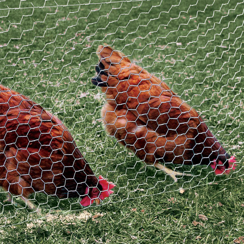 Chicken Wire Frame for Crafts Floral Netting 70 x 100 cm for Gardening Chicken Wire Fence Galvanized Hexagonal Fencing Wire 27.5 x 39.3 inch Poultry Fencing