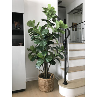Artificial Fake Plants You Ll Love In 2020 Wayfair Artificial Fake Plants You Ll Love In