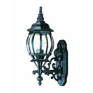 Reva 1-Light Outdoor Sconce