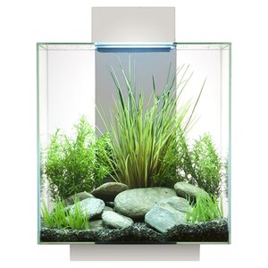 12 Gallon Edge Aquarium Kit