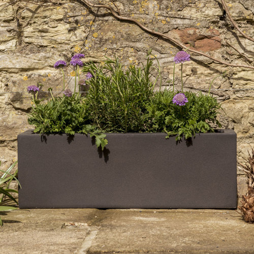 Kimberlin Trough Planter Box Sol 72 Outdoor Size: H20 x W60 x D20cm