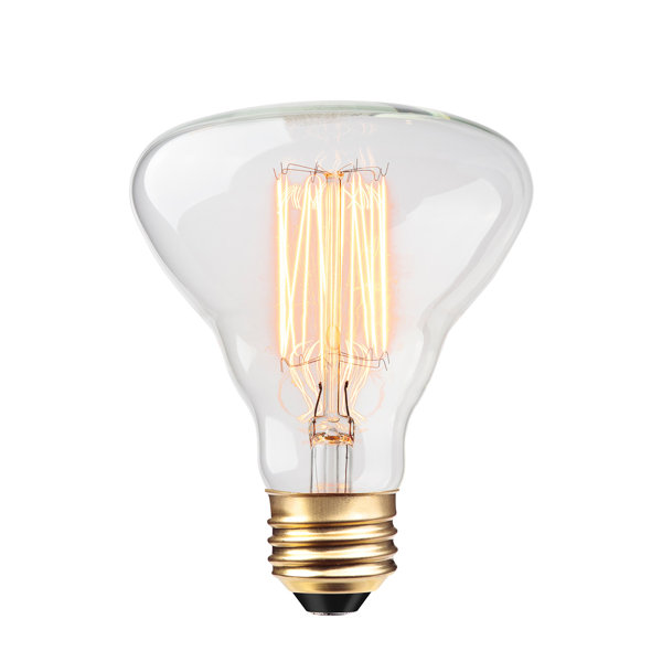 40W Amber 26/Medium Incandescent Light Bulb by Globe Electric Company