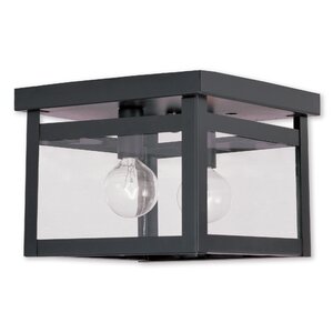 Brundidge 2-Light Flush Mount