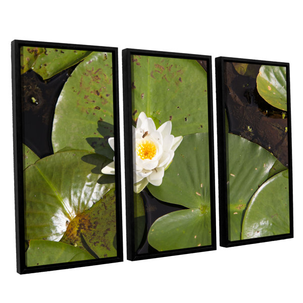 Artwall Lily Pad By Cody York 3 Piece Framed Photographic Print On Canvas Set Wayfair Artwall Lily Pad By Cody York 3 Piece Framed Photographic Print On Canvas Set Wayfair