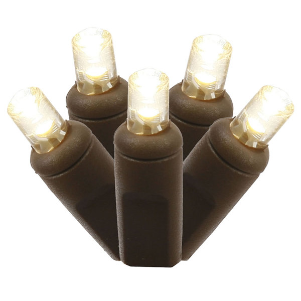 50 Light LED Light Set by The Holiday Aisle