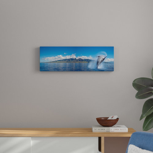 Breaching Humpback Whale by David Fleetham - Wrapped Canvas Photograph Print East Urban Home Size: 25.4cm H x 76.2cm W x 3.81cm D