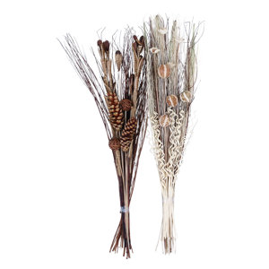2 Piece Dried Floral Branch Set