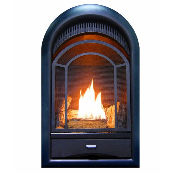 Heating Arched Door Vent Free Propane/Natural Gas Fireplace Insert By ProCom