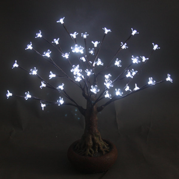 Bonsai Tree with 48 LED Lights by Hi-Line Gift Ltd.