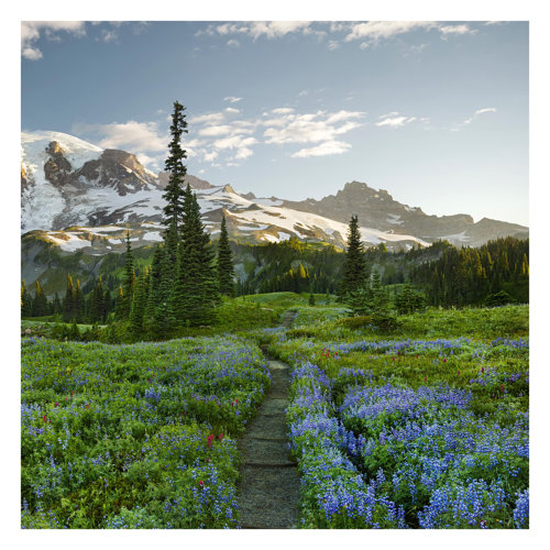 Mountain View Meadow Path 2.4m x 2.4m Embossed Matte Peel & Stick Wall Mural East Urban Home