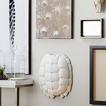 Near And Deer Replica Gator Turtle Shell Wall Décor Reviews Wayfair Replica Gator Turtle Shell Wall Décor