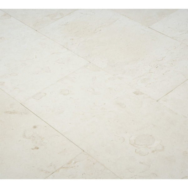 6 x 12 Limestone Field Tile in Corinthian Fossil by Ephesus Stones