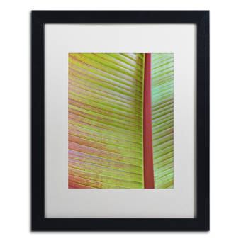 Trademark Art Salt Meadow Butterfly By Rachel Paxton Framed Painting Print Wayfair