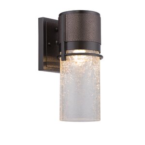 Baylor 1-Light Outdoor Sconce