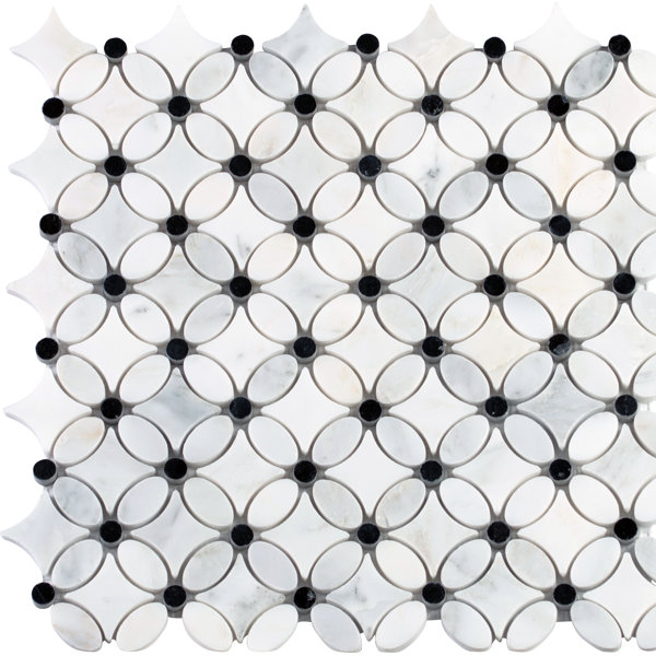Florita Pattern Polished Marble Mosaic Tile in White/Black by MSI
