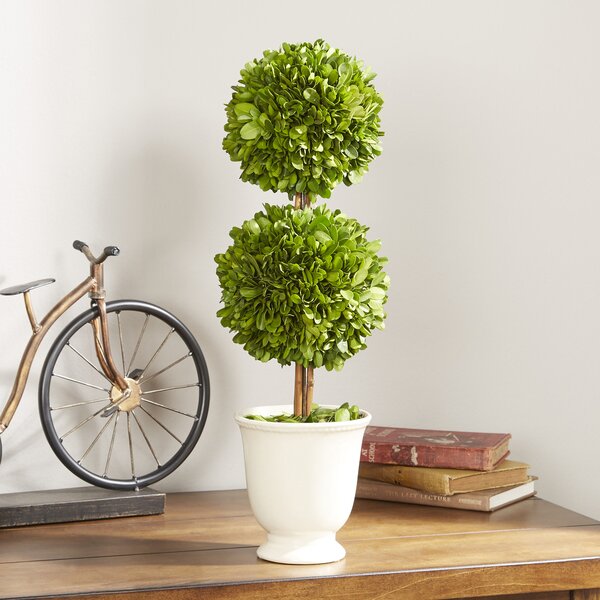 Gaudreau Double Ball Topiary in Pot by One Allium Way