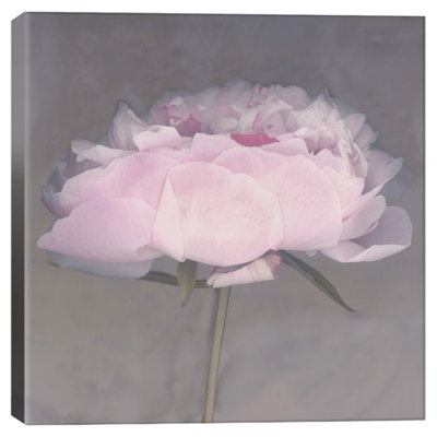 'Jolie' Print Lark Manor Format: Canvas, Size: 37" H x 37" W x 0.75" D