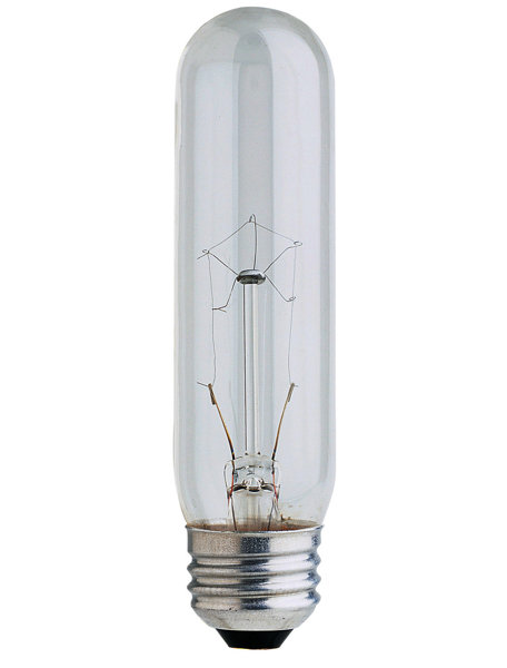 120-Volt Incandescent Light Bulb by FeitElectric