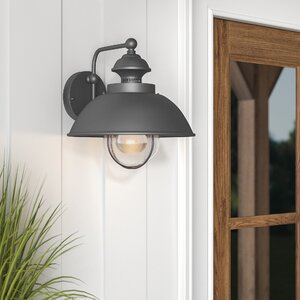 Nishi 1-Light Outdoor Barn Light