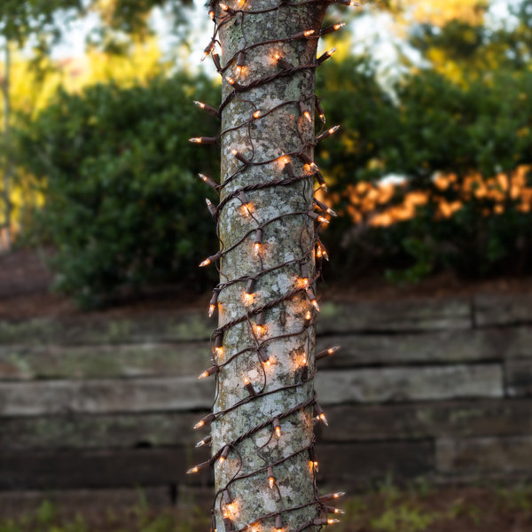 Mini Trunk Wrap Light by Kringle Traditions