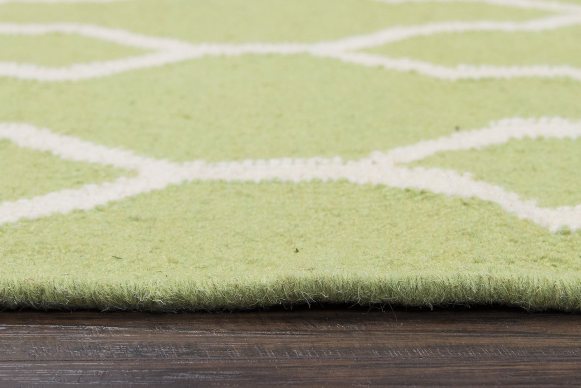 The Conestoga Trading Co. HandWoven Light Green Area Rug & Reviews