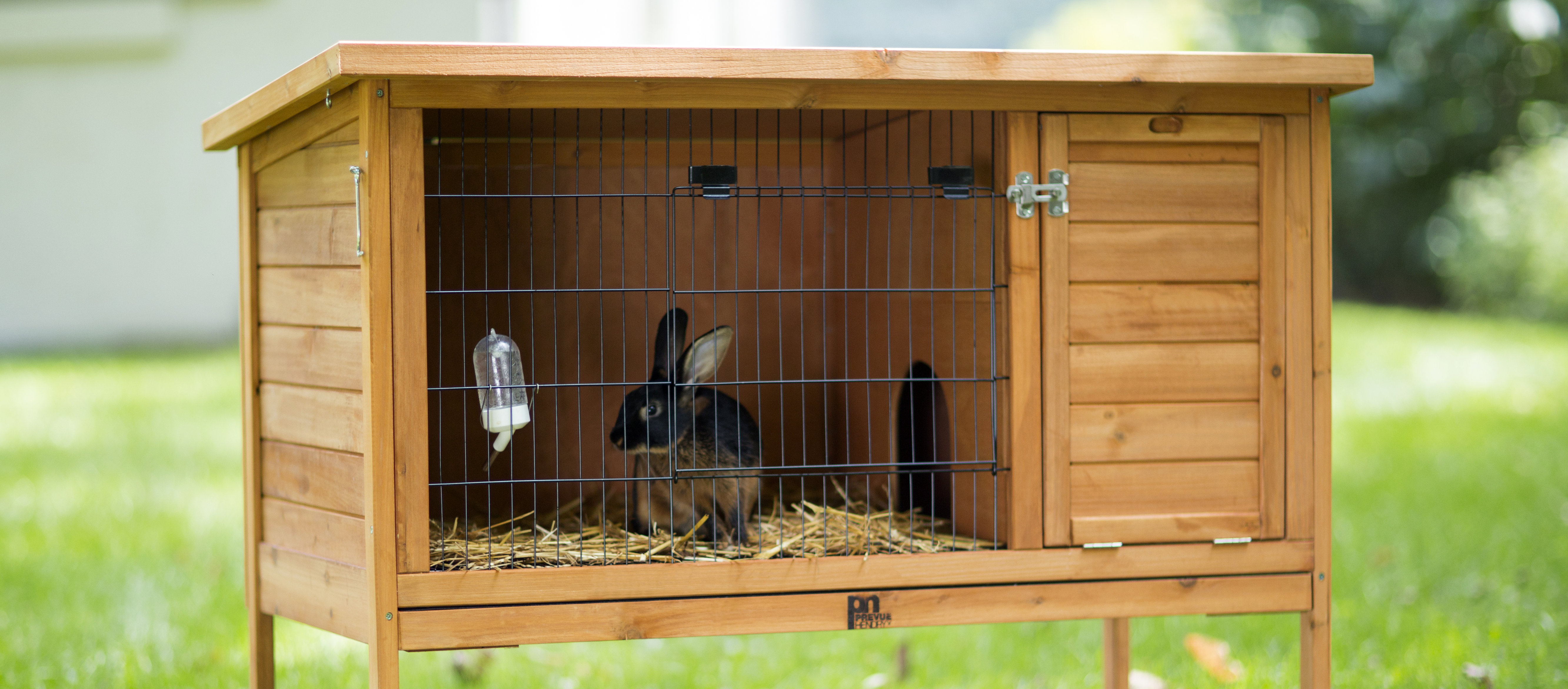 [BIG SALE] Our Favorite Rabbit Hutches You’ll Love In 2020 Wayfair