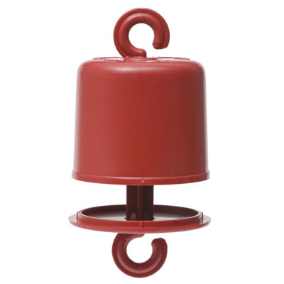 Antguard for Hummingbird Feeders Perky Pet