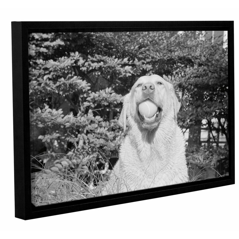 Life's A Ball Framed Photographic Print 