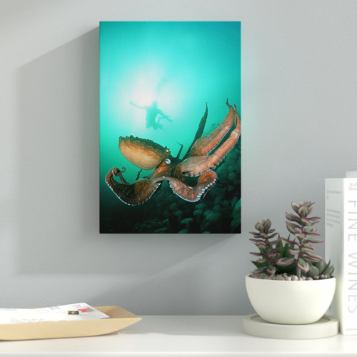 Giant Pacific Octopus by David Fleetham - Wrapped Canvas Photograph Print East Urban Home Size: 76.2cm H x 50.8cm W x 3.81cm D