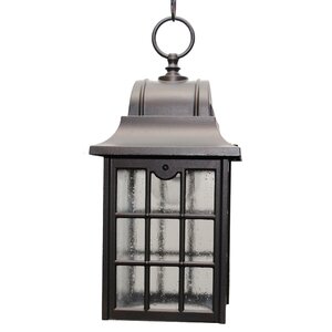 600 Series 1-Light Outdoor Hanging Lantern