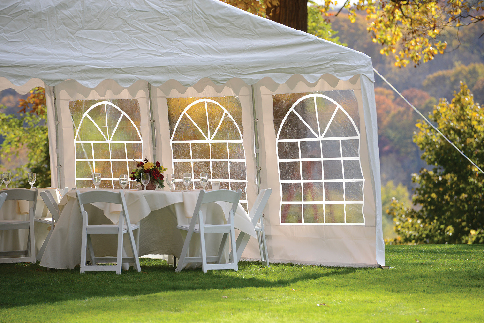 party tend on a bright green lawn above a few fully set tables