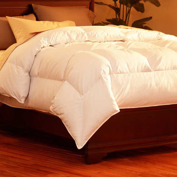 Pacific Coast Feather 600 Fill Power All Season Down Comforter Reviews Wayfair