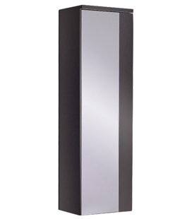 Small Wood Medicine Cabinet Wayfair Caro Wood Mirrored 12 X 40 Surface Mount Medicine Cabinet