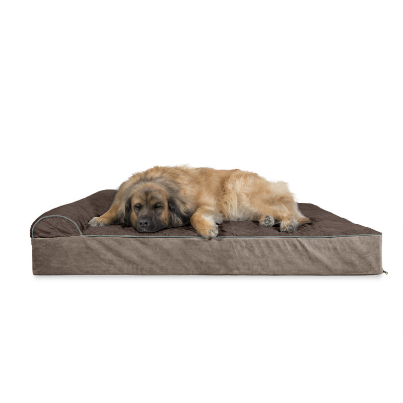 Tucker Murphy Pet Digby Quilted Goliath Chaise Lounge Dog Sofa Wayfair Digby Quilted Goliath Chaise Lounge Dog Sofa