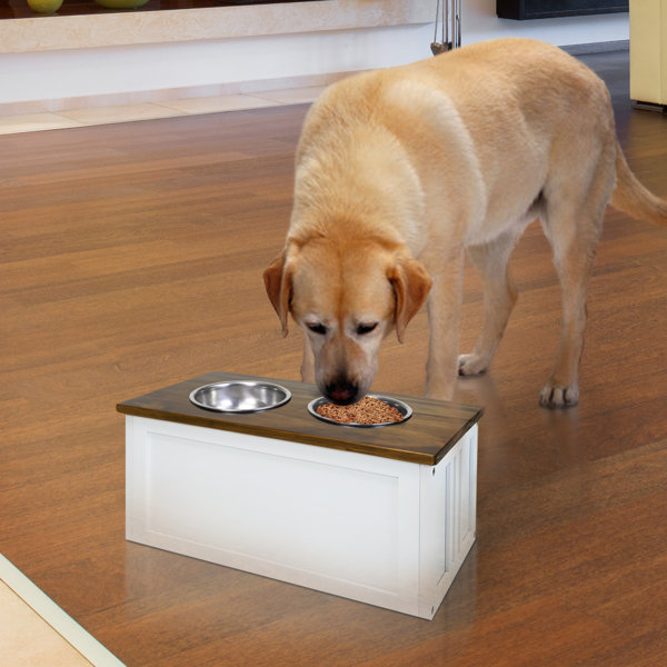 Pet Feeder Cabinet Wayfair