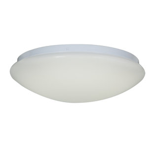 Best Rolen 1-Light Outdoor Flush Mount By Latitude Run Outdoor Lighting Rolen 1-Light Outdoor Flush Mount By Latitude Run Outdoor Lighting