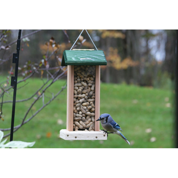 Birds Choice Cedar Whole Peanut Hopper Bird Feeder Wayfair Ca