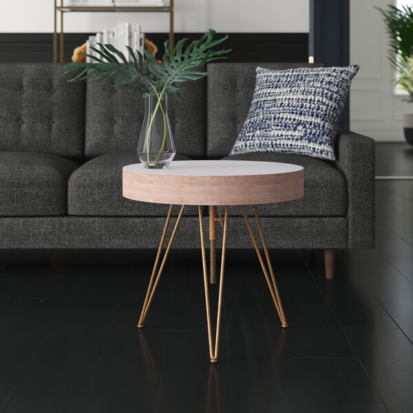 Mount Barker Coffee Table With Storage By Mercury Row
