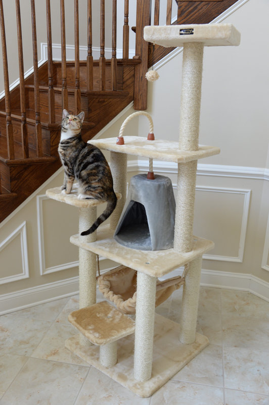 Armarkat 65" Classic Cat Tree & Reviews Wayfair