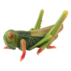 Grasshopper Wayfair