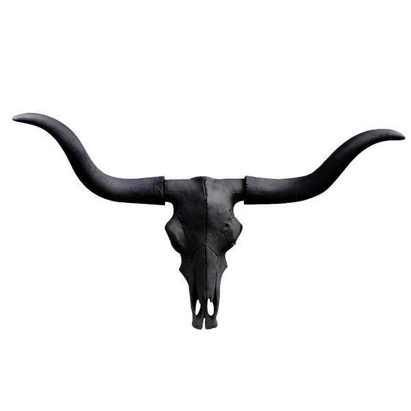 Longhorn Steer Resin Skull W Horns Wall Mount Long Horn Bull Or Longhorn Steer Resin Skull W Horns Wall Mount Long Horn Bull Or Cow Longhorns Bust