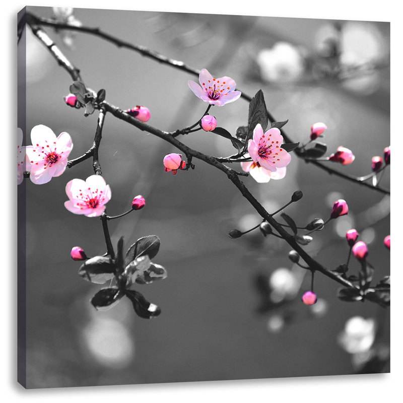 East Urban Home Leinwandbild Exotische Sakura Blüten | Wayfair.de
