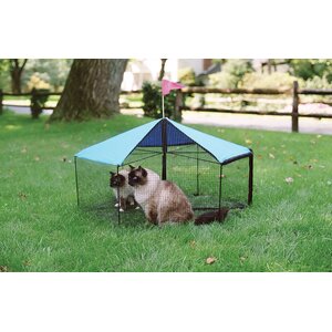 The Carouselu2122 Outdoor Pet Playpen