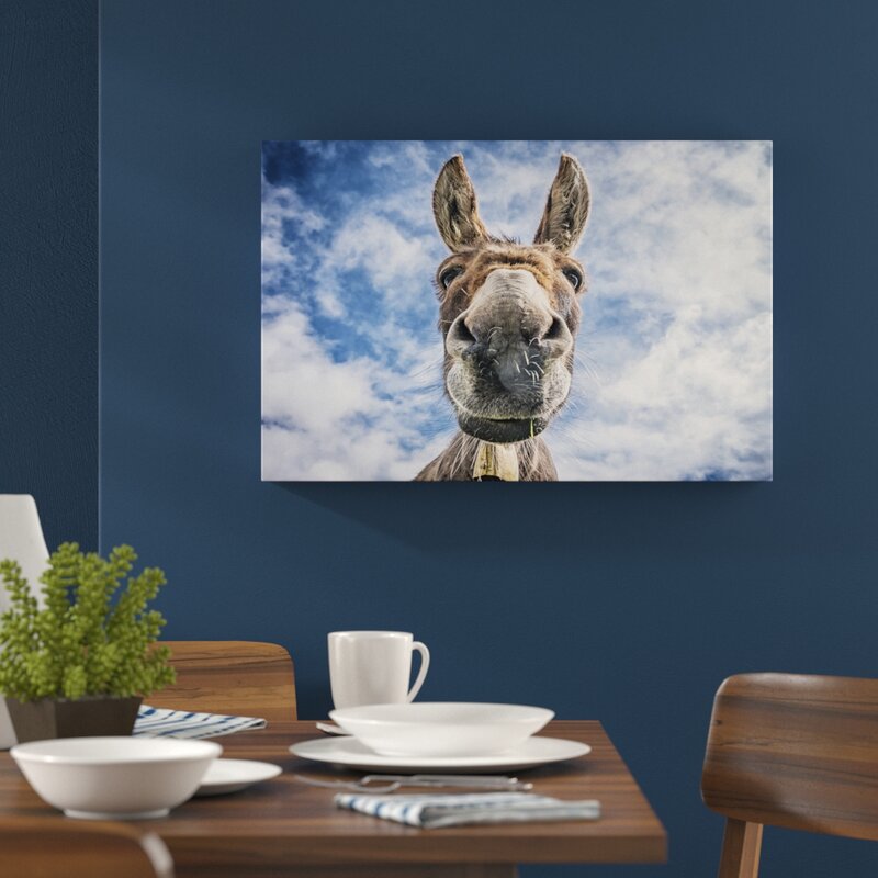 East Urban Home Funny Donkey Wall Art on Canvas & Reviews | Wayfair.co.uk