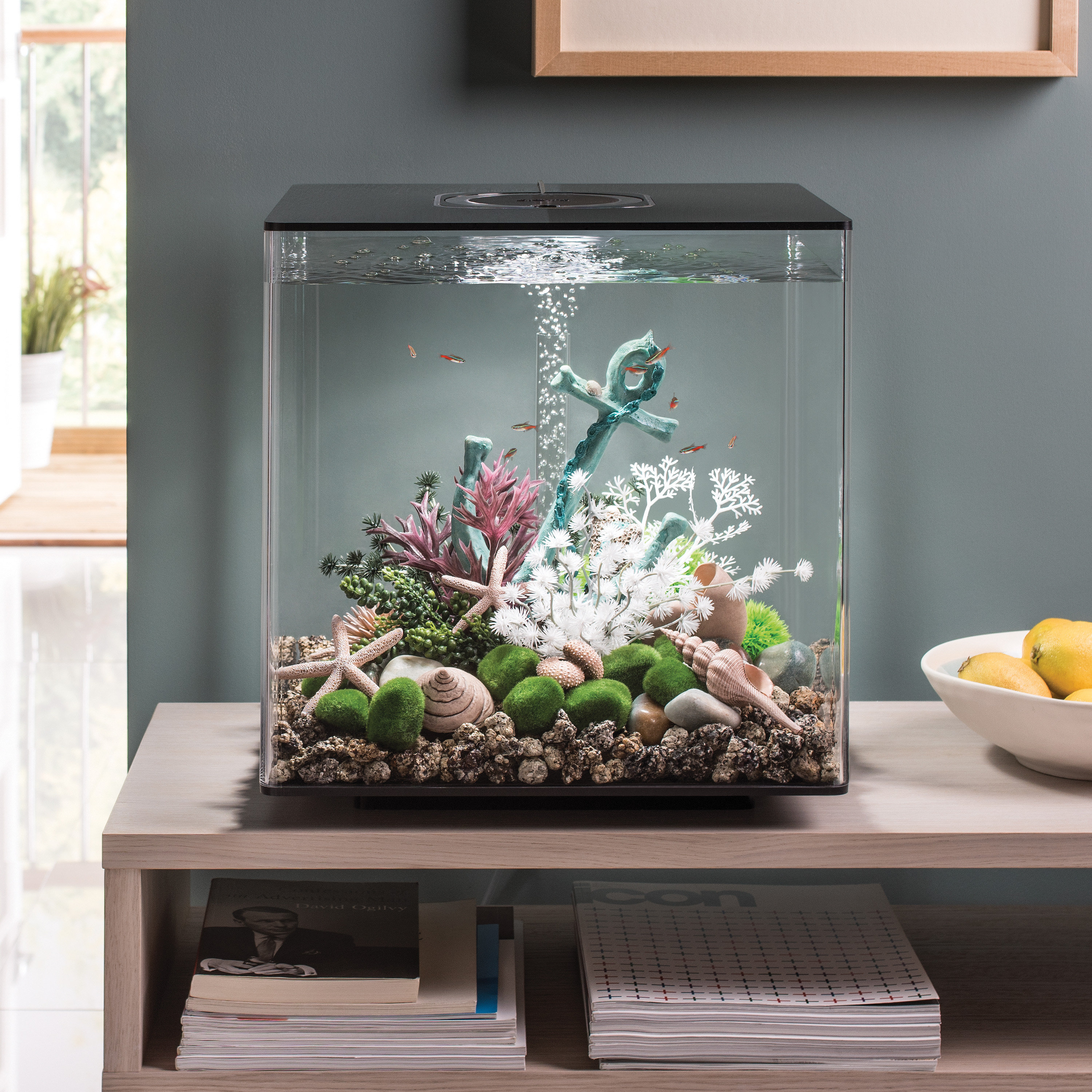 Fish Tank Sizes How To Choose The Right Aquarium Size Wayfair See more ideas about aquarium, aquarium coffee table, fish tank coffee table. fish tank sizes how to choose the