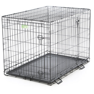 dog crate with divider cat rabbit icrate double door pet crate large dog with divider wayfair dog crate with divider cat rabbit icrate double door pet crate large dog with divider wayfair
