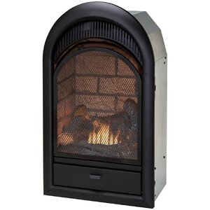 Dual Fuel Ventless Natural Gas/Propane Fireplace Insert
