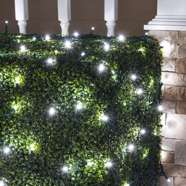100 Lamps LED Christmas Net Light by Wintergreen Lighting