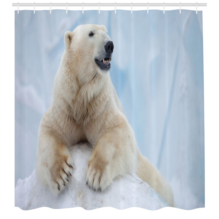 East Urban Home Zoo Shower Curtain Set Hooks Wayfair