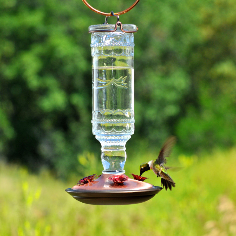 Perky Pet Opus Glass Bottle Nectar Hummingbird Feeder Reviews